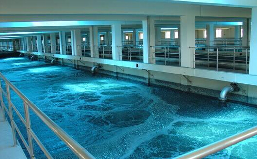 泳池除臭 泳池除臭